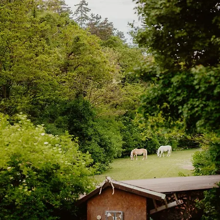 Belsooers - Haz Lelekkel בית נופש Felsőörs