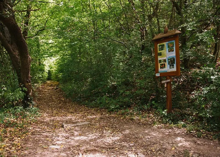 Belsooers - Haz Lelekkel בית נופש *