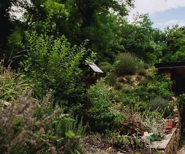 Belsooers - Haz Lelekkel בית נופש