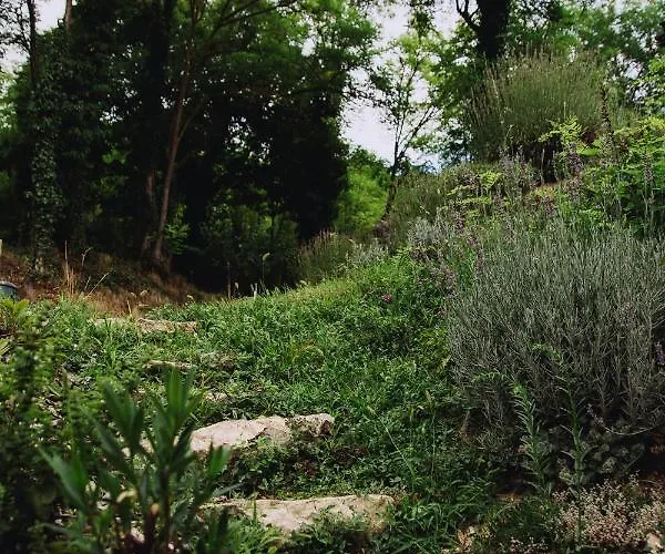 Belsooers - Haz Lelekkel Felsőörs