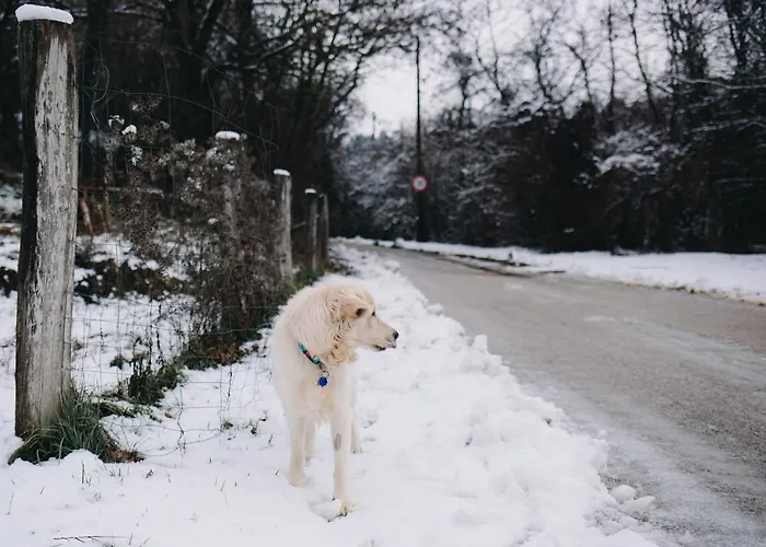 בית נופש Belsooers - Haz Lelekkel Felsőörs