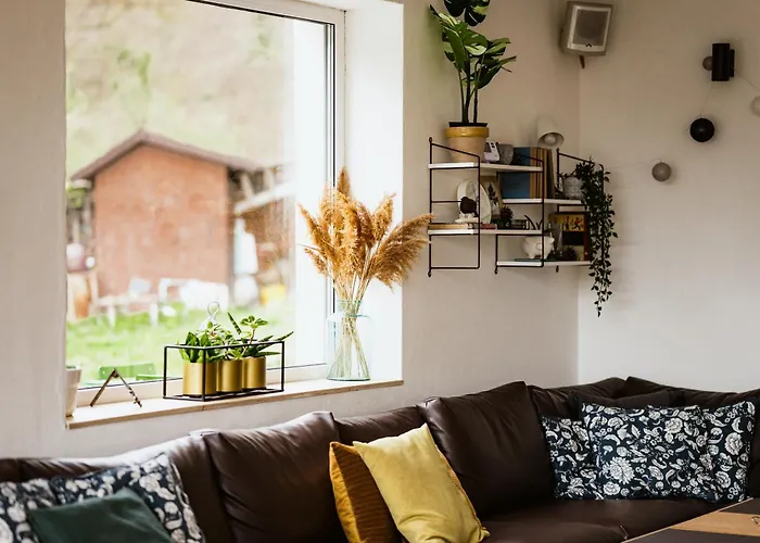 Belsooers - Haz Lelekkel *