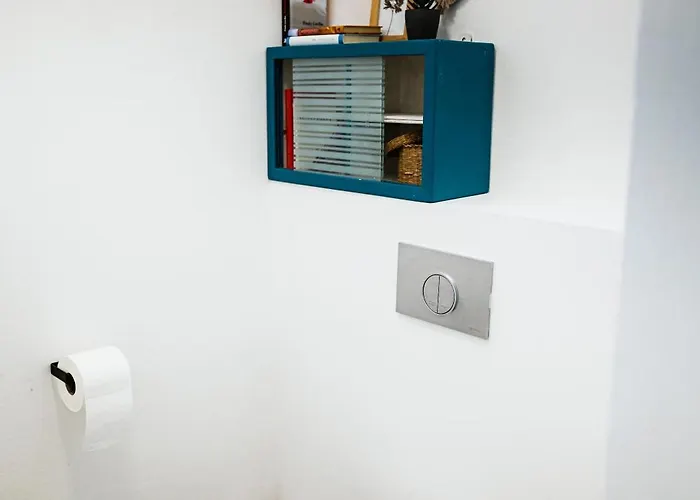 Belsooers - Haz Lelekkel *