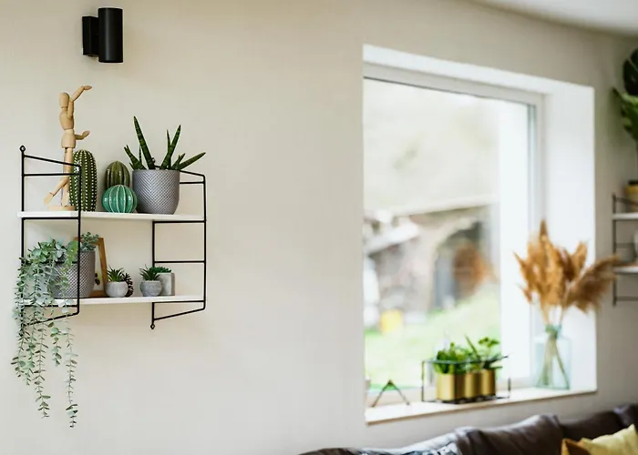 Belsooers - Haz Lelekkel