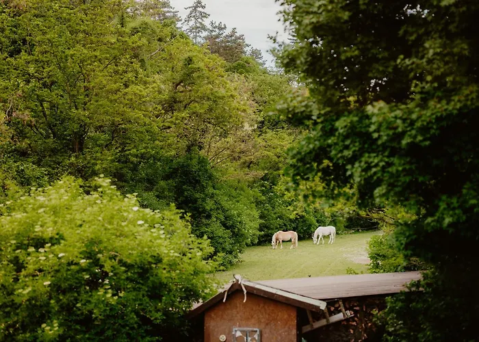 Belsooers - Haz Lelekkel בית נופש Felsőörs
